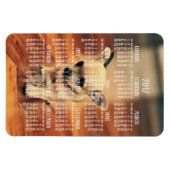 Chihuahua Calendar 2017 Photo Magnet 4x6 Large Magneet (Horizontaal)