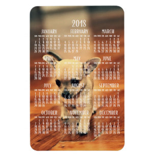 Chihuahua Calendar 2018 Photo Magnet 4x6 Large Magneet
