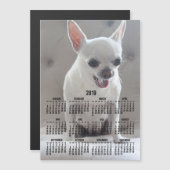 Chihuahua Calendar 2019 Magnetic Photo Card 5x7 (Voorkant / Achterkant)