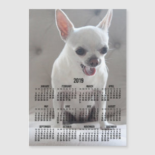 Chihuahua Calendar 2019 Magnetic Photo Card 5x7