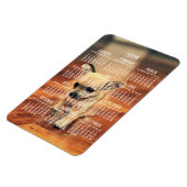 Chihuahua Calendar 2019 Photo Magnet 4x6 Large Magneet (Linkerzijde)