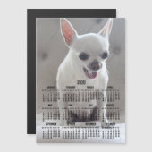 Chihuahua Calendar 2020 Magnetic Photo Card 5x7 (Voorkant / Achterkant)