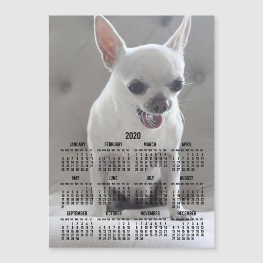 Chihuahua Calendar 2020 Magnetic Photo Card 5x7 (Voorkant)