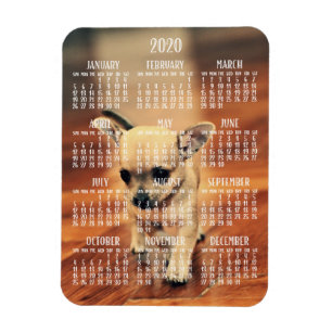 Chihuahua Calendar 2020 Photo Magnet 3x4 Small Magneet