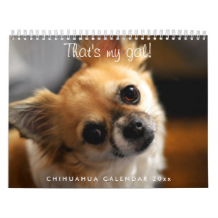 Chihuahua Calendar 2023. Dat is mijn Gal Kalender
