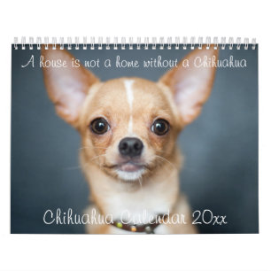 Chihuahua Calendar 2023 House is geen homefoto Kalender