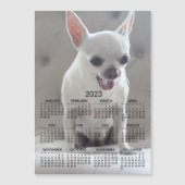 Chihuahua Calendar 2023 Magnetic Photo Card (Voorkant)