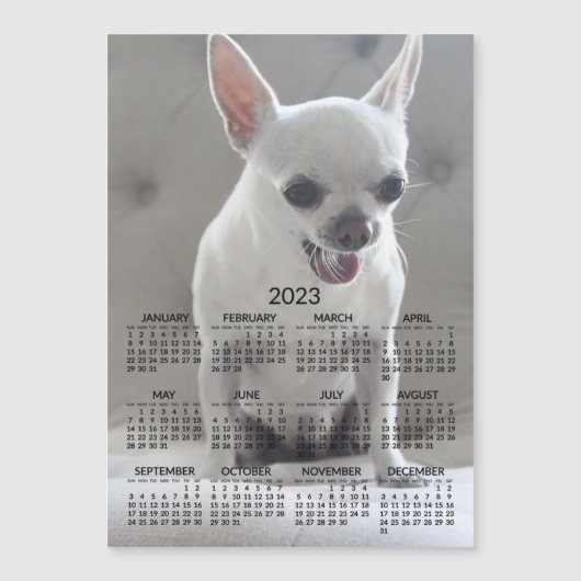 Chihuahua Calendar 2023 Magnetic Photo Card (Voorkant)