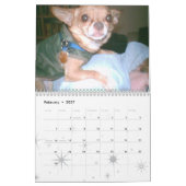 Chihuahua Calendar! Kalender (Feb 2027)