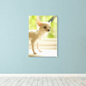 Chihuahua Canvas Afdruk (Insitu (Houten vloer))