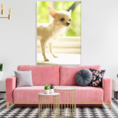 Chihuahua Canvas Afdruk (Insitu (Woonkamer))