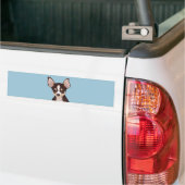 Chihuahua cartoon bumpersticker (Op Truck)