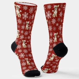 Chihuahua Chi Hond in Kerstmannenhoed Rood Sokken
