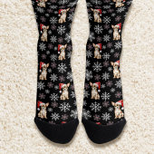 Chihuahua Chi Hond in Kerstmannetjeshoed Zwart Sokken