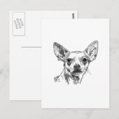 Chihuahua-Chiwawa Dogs Briefkaart (Voorkant / Achterkant)