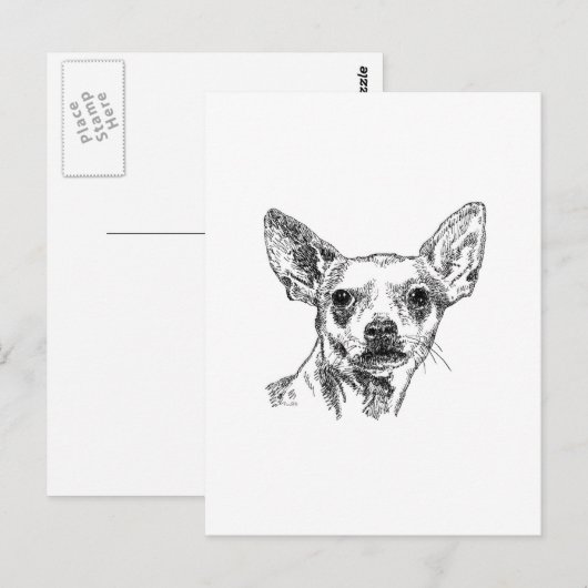 Chihuahua-Chiwawa Dogs Briefkaart (Voorkant / Achterkant)