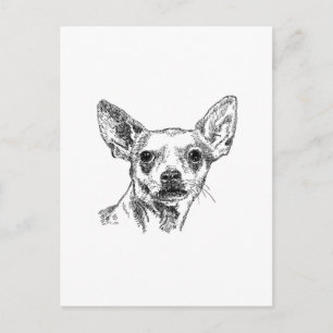 Chihuahua-Chiwawa Dogs Briefkaart