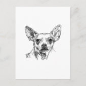 Chihuahua-Chiwawa Dogs Briefkaart (Voorkant)
