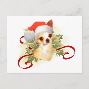 Chihuahua Christmas Briefkaart
