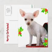 Chihuahua Christmas Briefkaart (Voorkant / Achterkant)