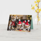 Chihuahua Christmas Cookie Card Kaart (Gele Bloem)