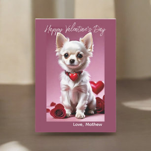 Chihuahua Cupido Kaart