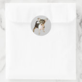 Chihuahua Cutie Sticker (Tas)