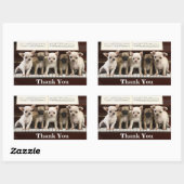 Chihuahua Dank je puppy Dogs ( Chewawa Chiwawa ) Rechthoekige Sticker (Vel)