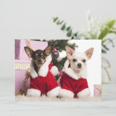 Chihuahua die een kerstpak draagt feestdagenkaart (Staand voorkant)