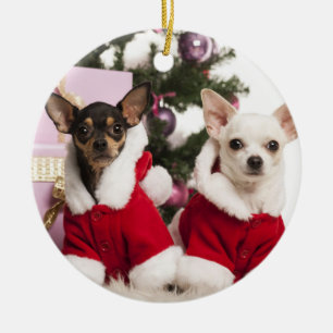 Chihuahua die een kerstpak draagt keramisch ornament