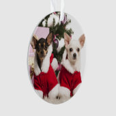Chihuahua die een kerstpak draagt ornament (voorkant)