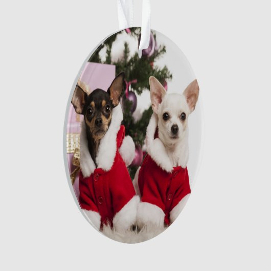 Chihuahua die een kerstpak draagt ornament (voorkant)