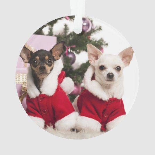 Chihuahua die een kerstpak draagt ornament (achterkant)