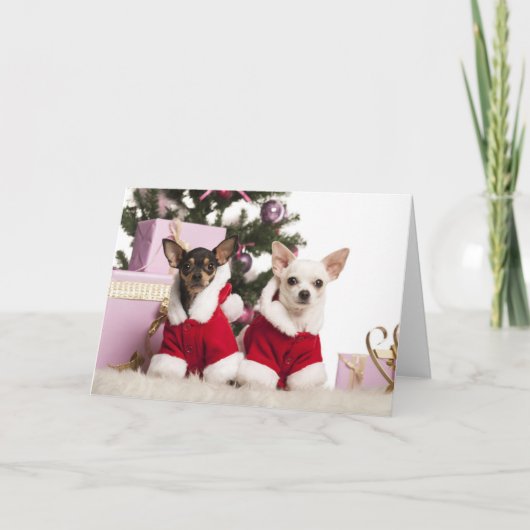 Chihuahua die en een Kostuum van Kerstmis zitten Feestdagen Kaart (Voorkant)