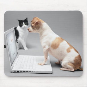 Chihuahua die het scherm van een laptop bekijkt muismat