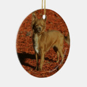 Chihuahua die naar camera kijkt keramisch ornament (Rechts)