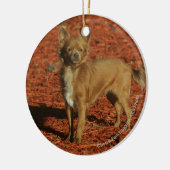 Chihuahua die naar camera kijkt keramisch ornament (Links)