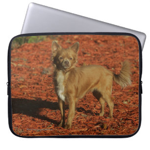 Chihuahua die naar camera kijkt laptop sleeve