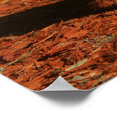 Chihuahua die naar camera kijkt poster (Hoek)