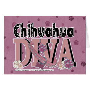 Chihuahua DIVA