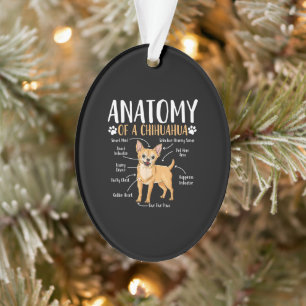 Chihuahua Dog Anatomie Ornament