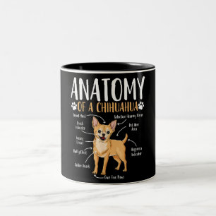 Chihuahua Dog Anatomie Tweekleurige Koffiemok