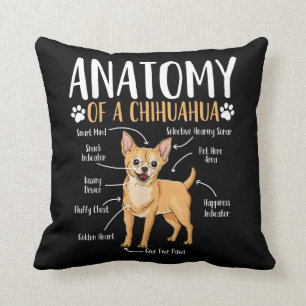 Chihuahua Dog Anatomy Kussen