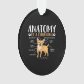 Chihuahua Dog Anatomy Ornament (voorkant)