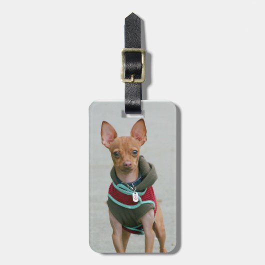 Chihuahua dog bagagelabel (Voorkant verticaal)