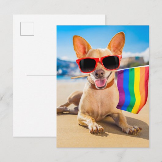 Chihuahua Dog bij het strand Briefkaart (Voorkant / Achterkant)