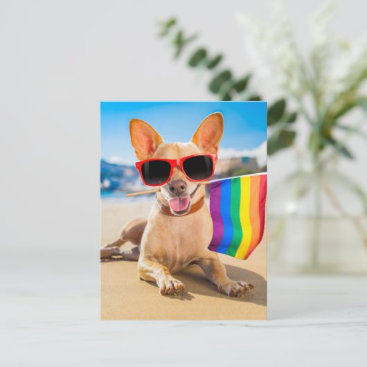 Chihuahua Dog bij het strand Briefkaart (Staand voorkant)