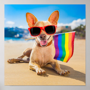 Chihuahua Dog bij het strand Poster