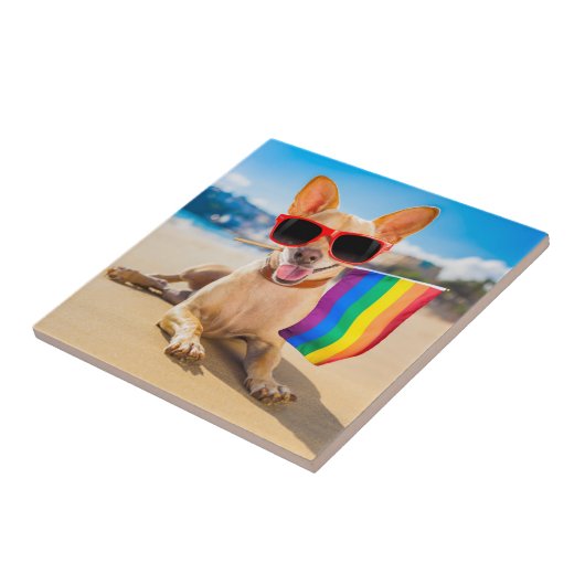 Chihuahua Dog bij het strand Tegeltje (Zijkant)