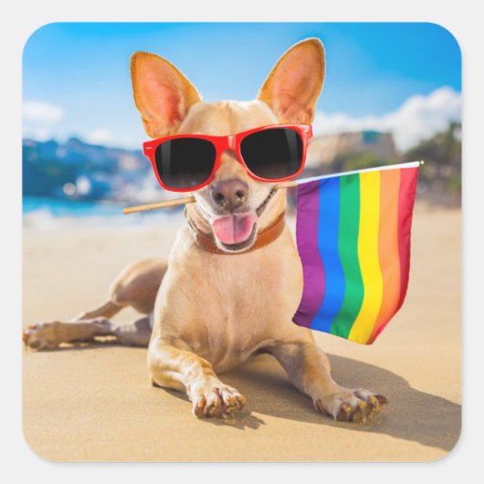 Chihuahua Dog bij het strand Vierkante Sticker (Voorkant)